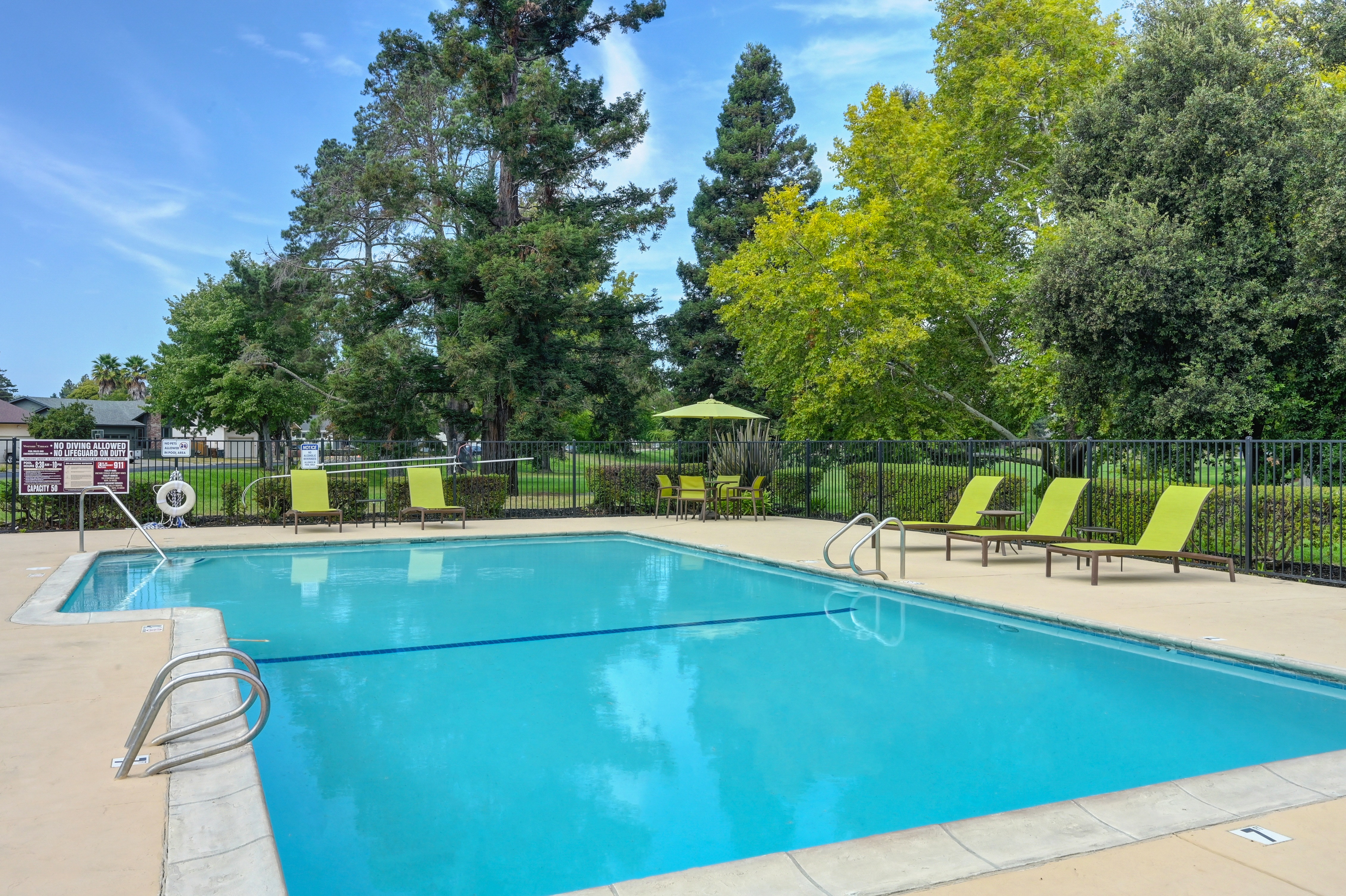 Vineyard Terrace Apartments photo 5